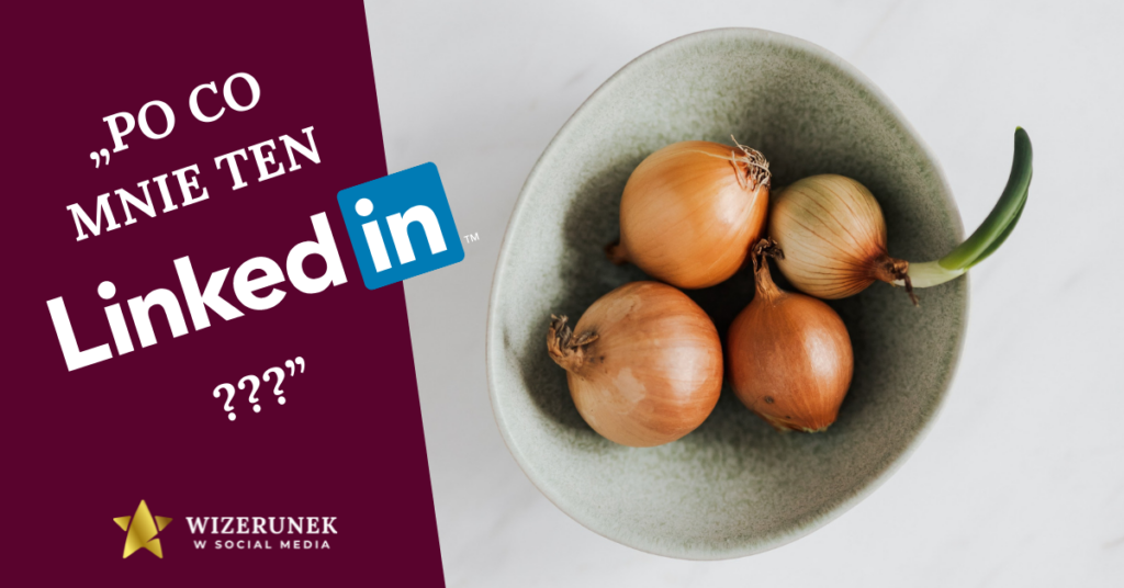 po co mnie ten linkedin Anna maria wiśniewska